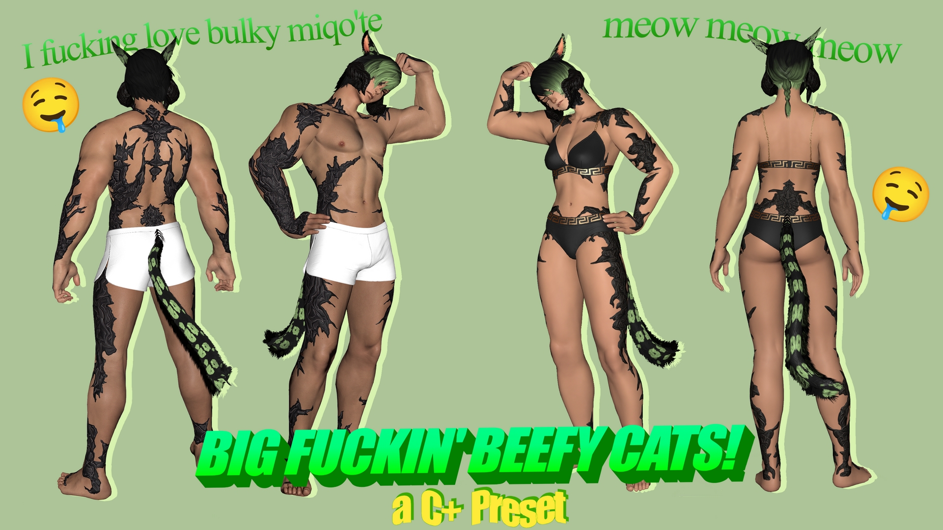 Mod Preview Image