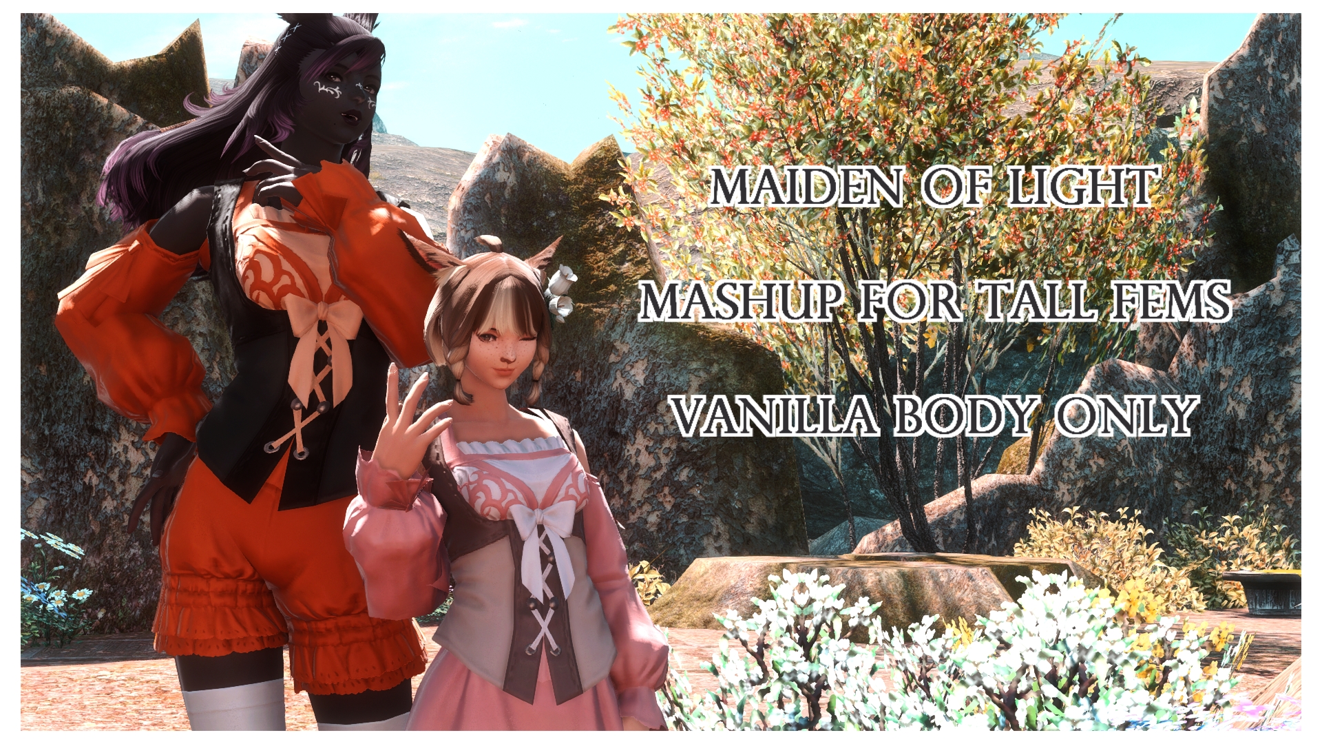 Mod Preview Image