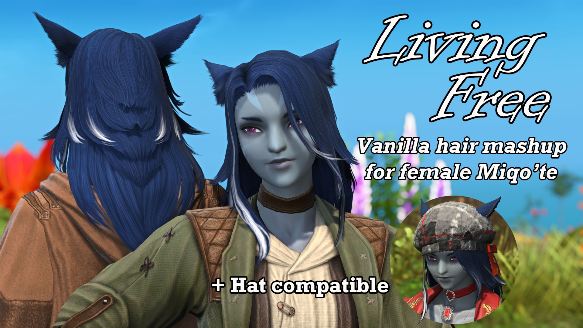 Mod Preview Image