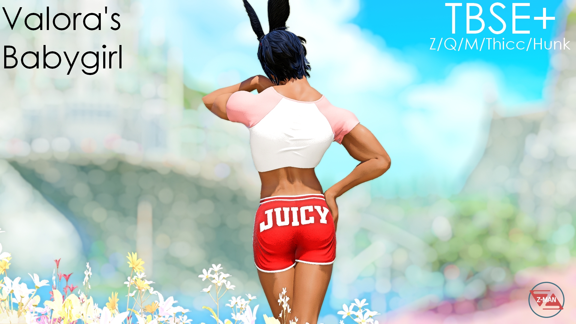 Mod Preview Image