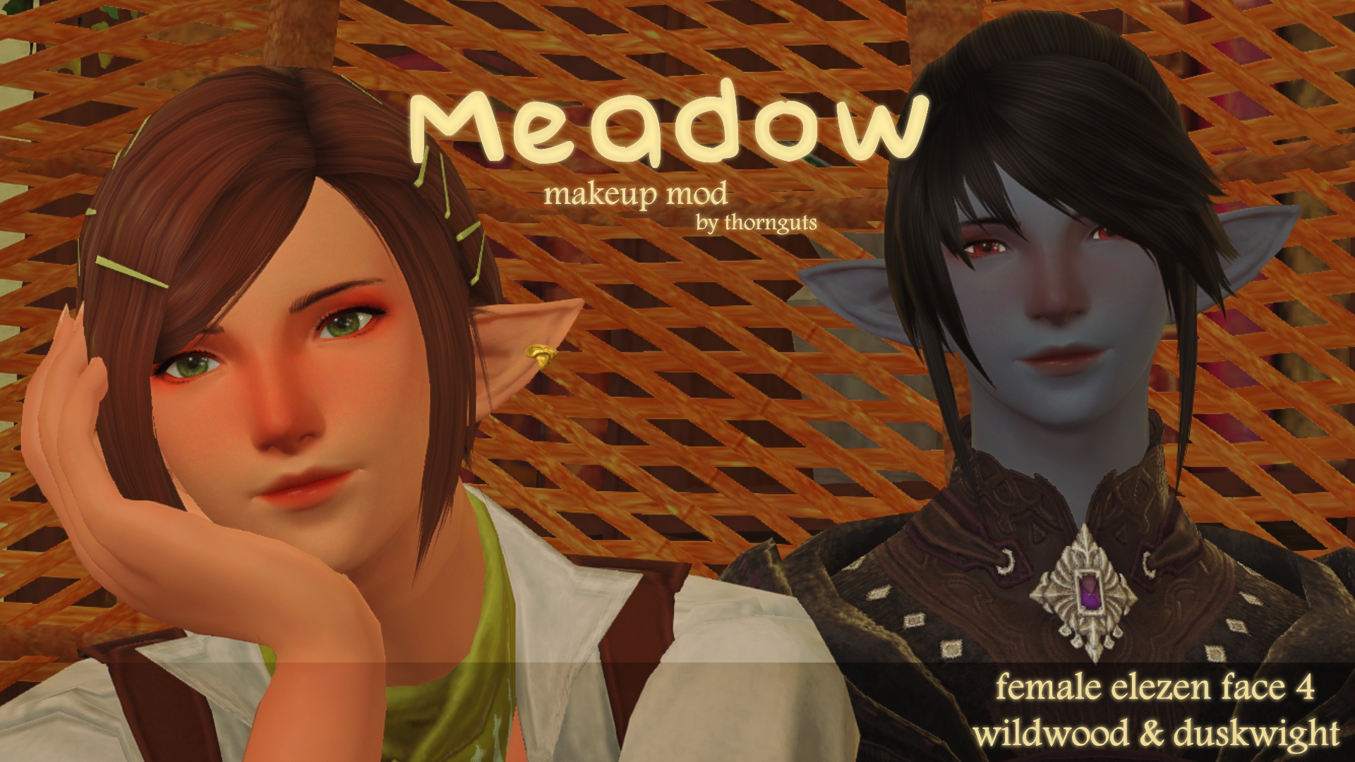 Mod Preview Image