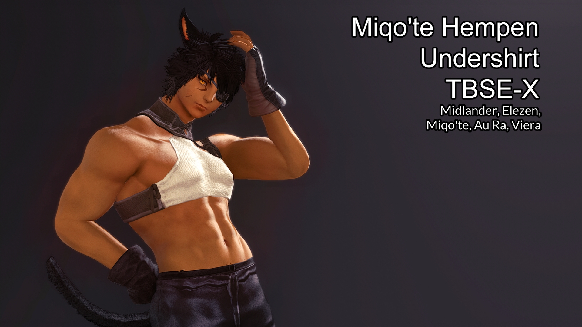 Mod Preview Image