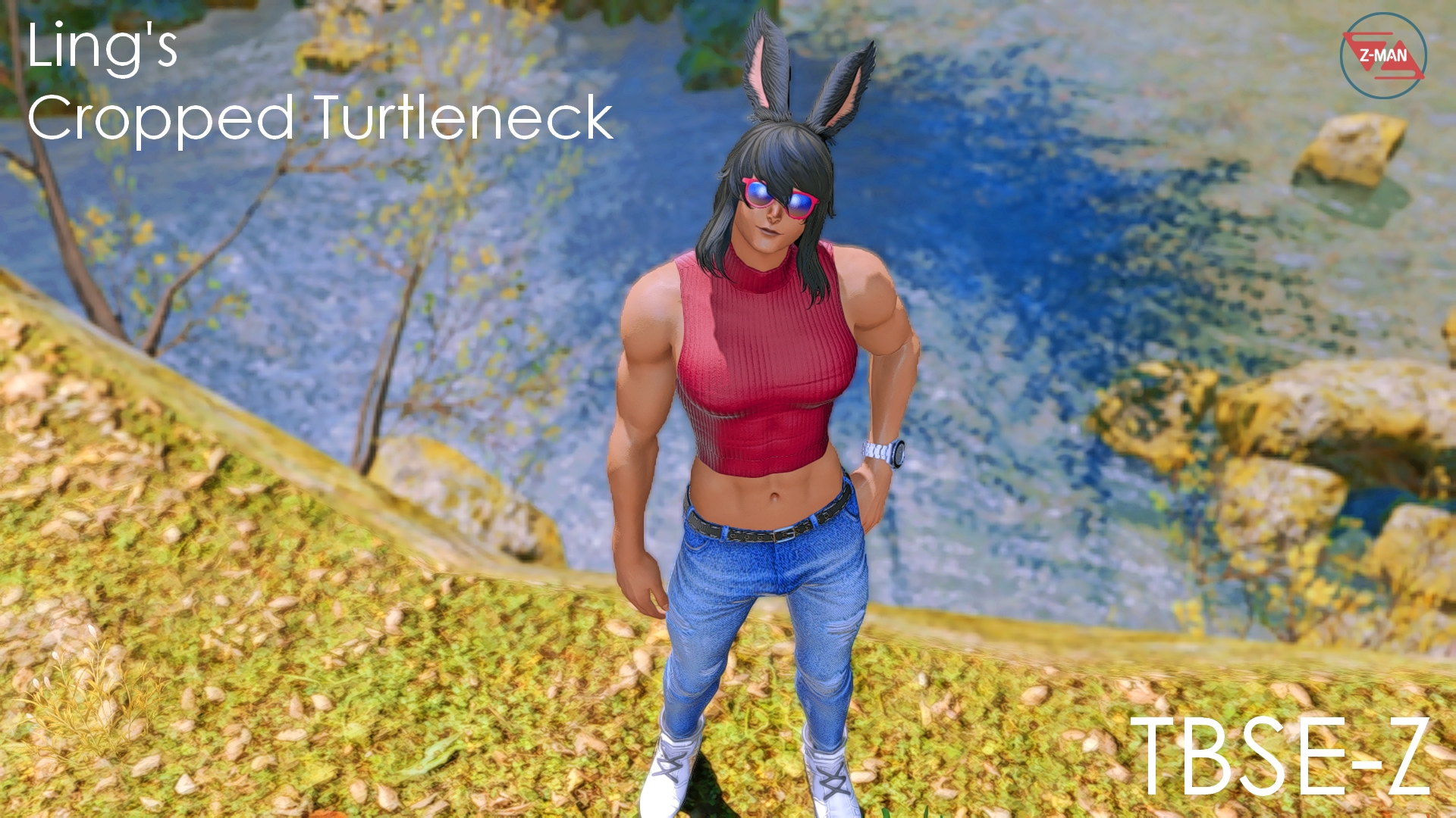 Mod Preview Image
