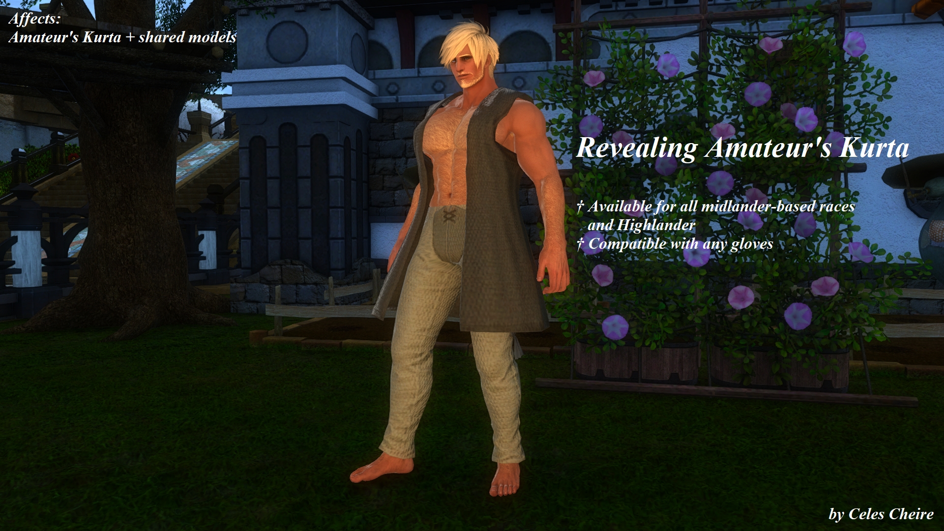 Mod Preview Image