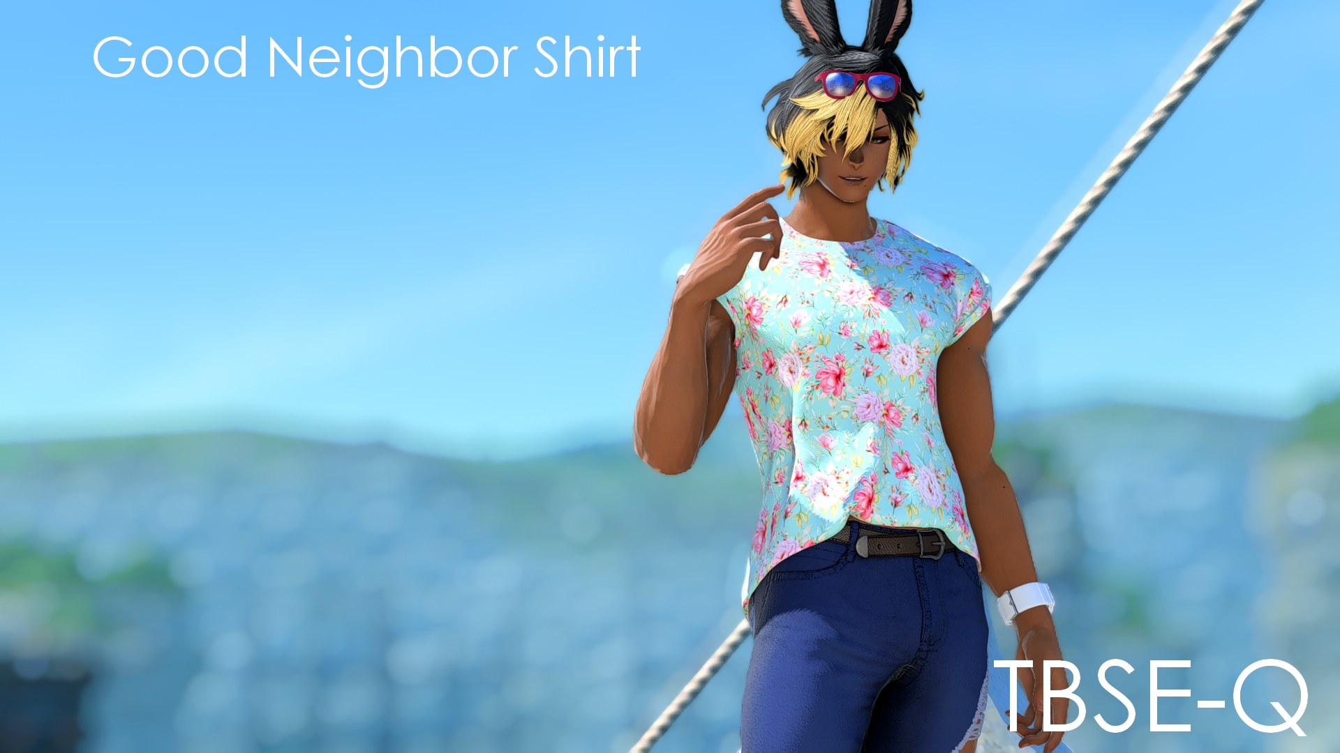 Mod Preview Image