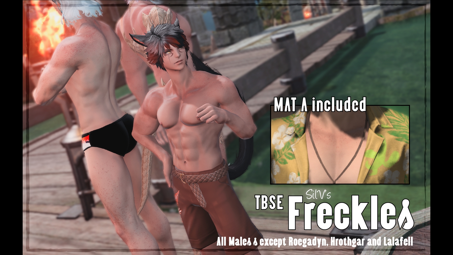 Mod Preview Image