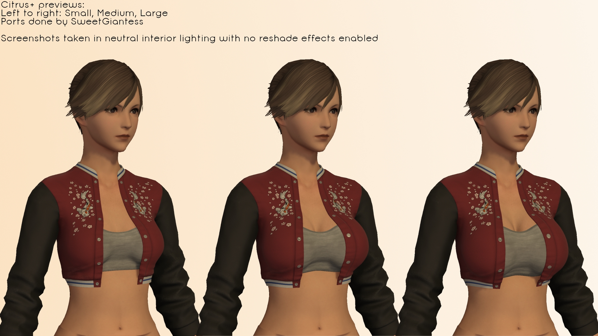 Mod Preview Image