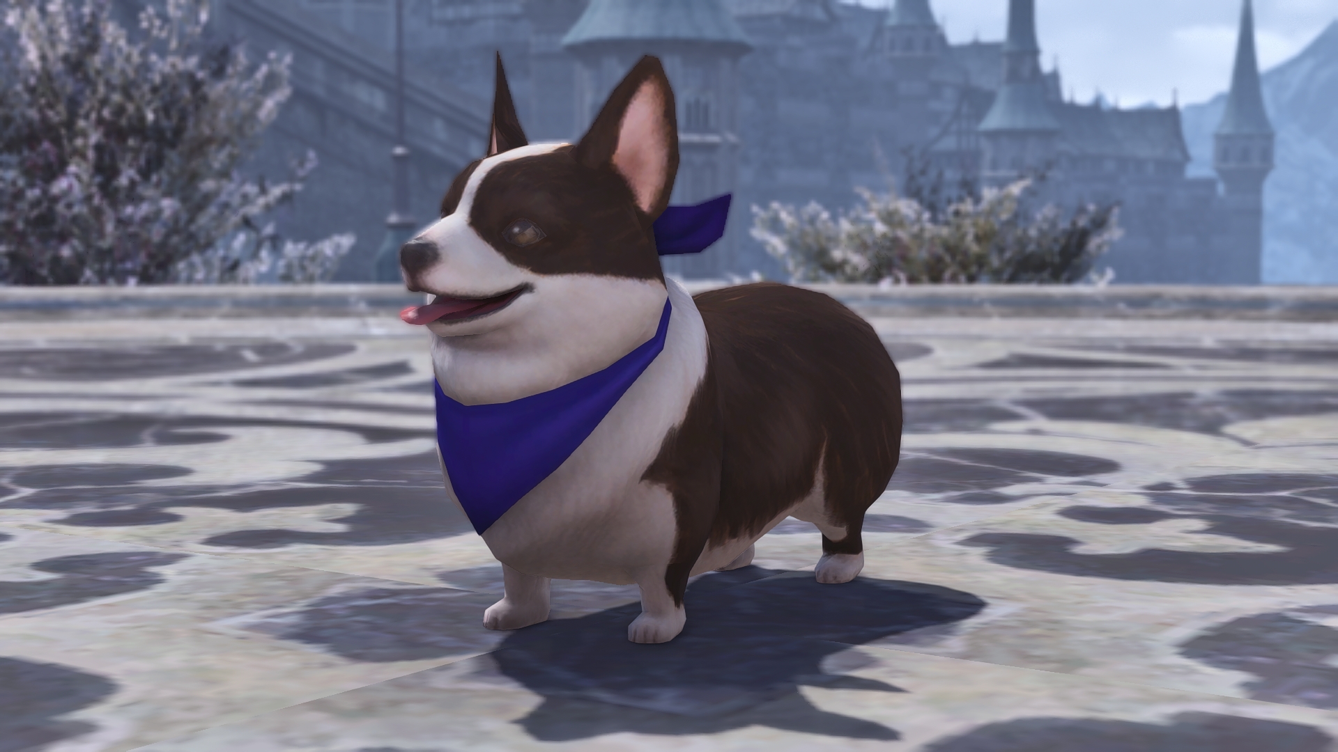 Black and White Corgi | XIV Mod Archive