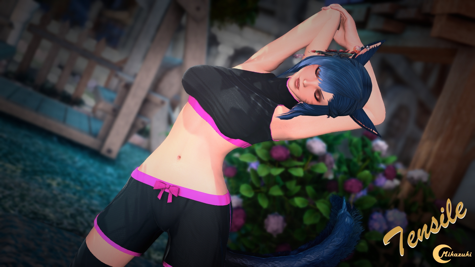 Mod Preview Image