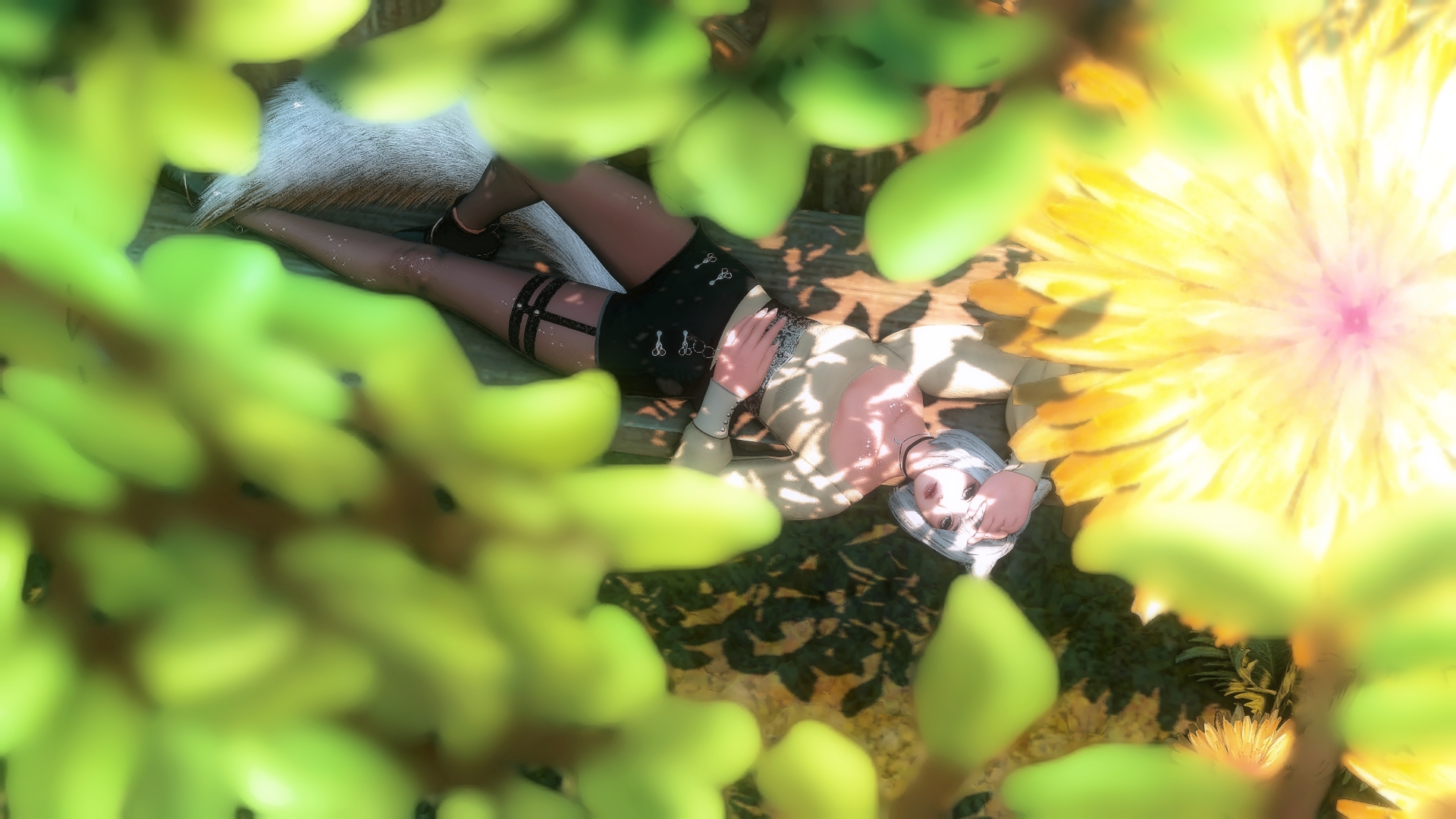 Mod Preview Image