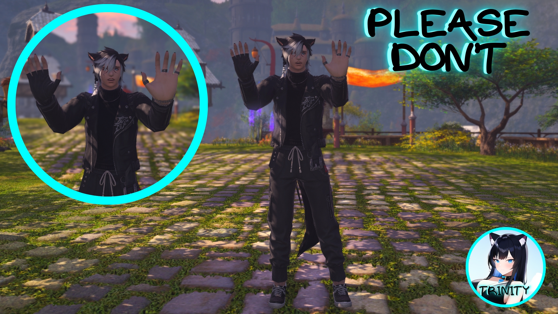 [Trinity] Please Don't | XIV Mod Archive