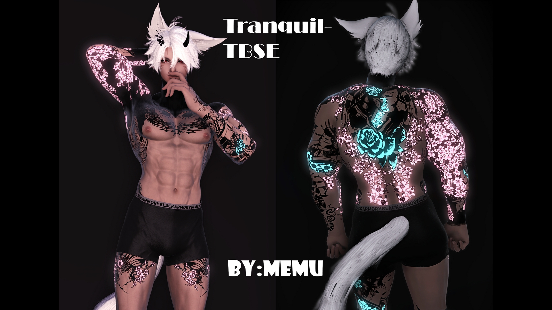 Mod Preview Image