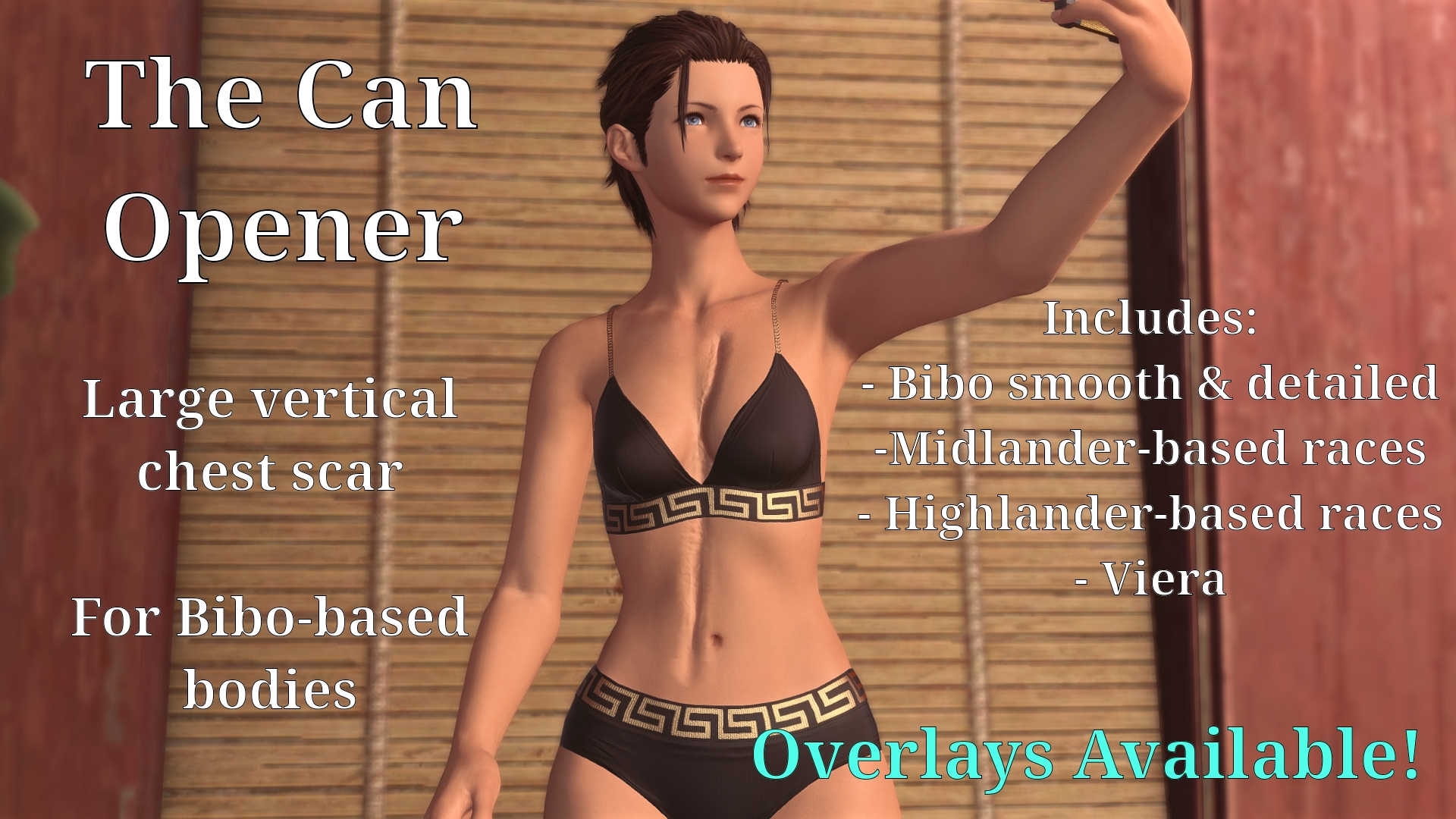 Mod Preview Image