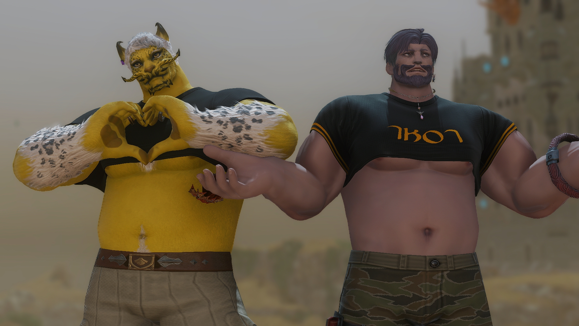 Mod Preview Image
