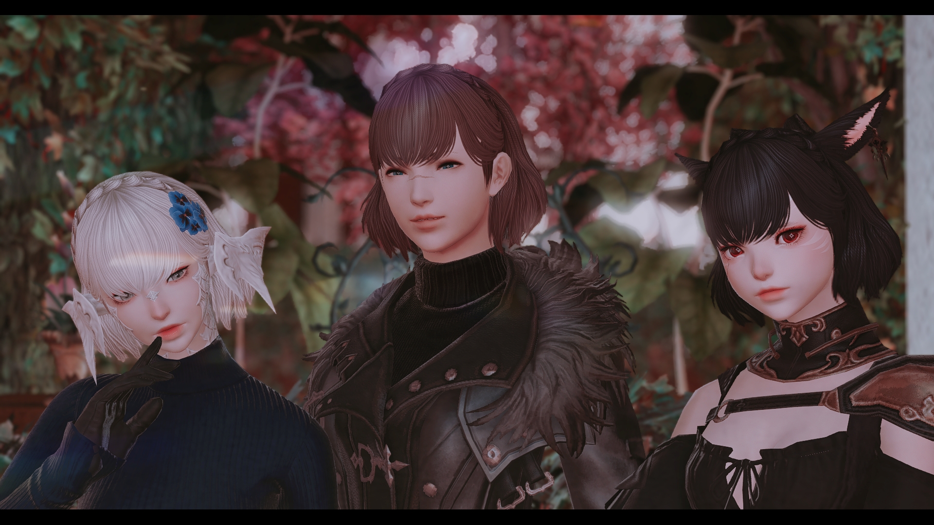 Form and Function Mashup | XIV Mod Archive