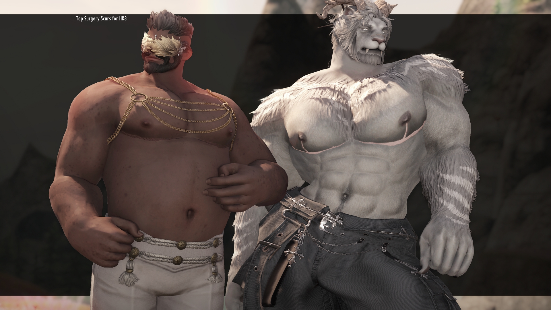 Mod Preview Image