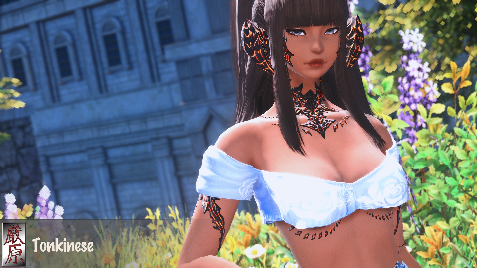 Mod Preview Image