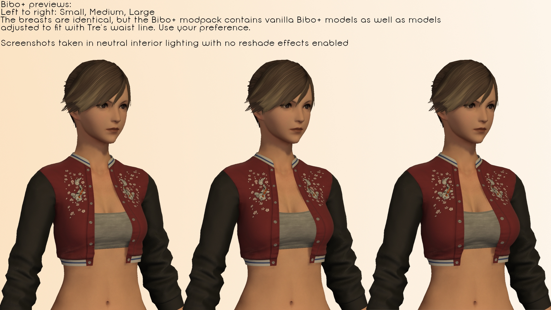 Mod Preview Image