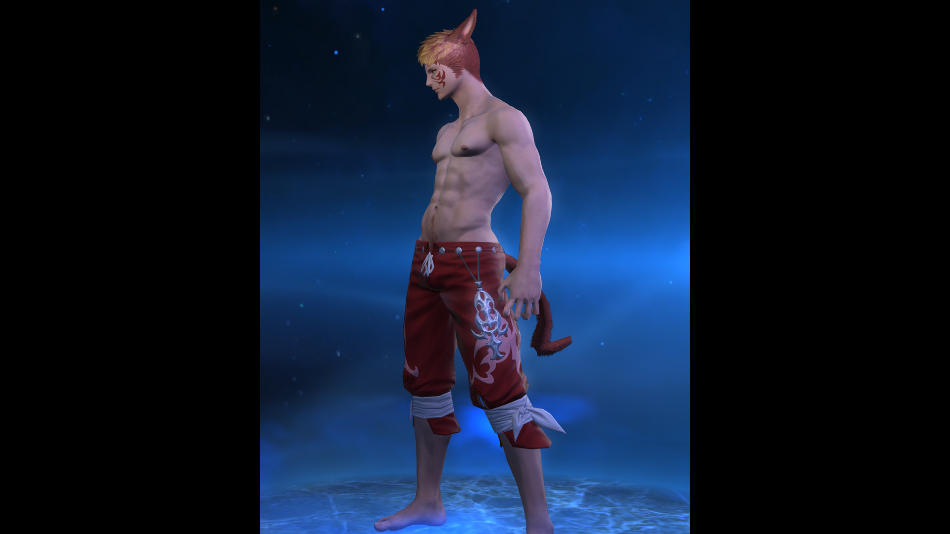 Buus Bodies 2