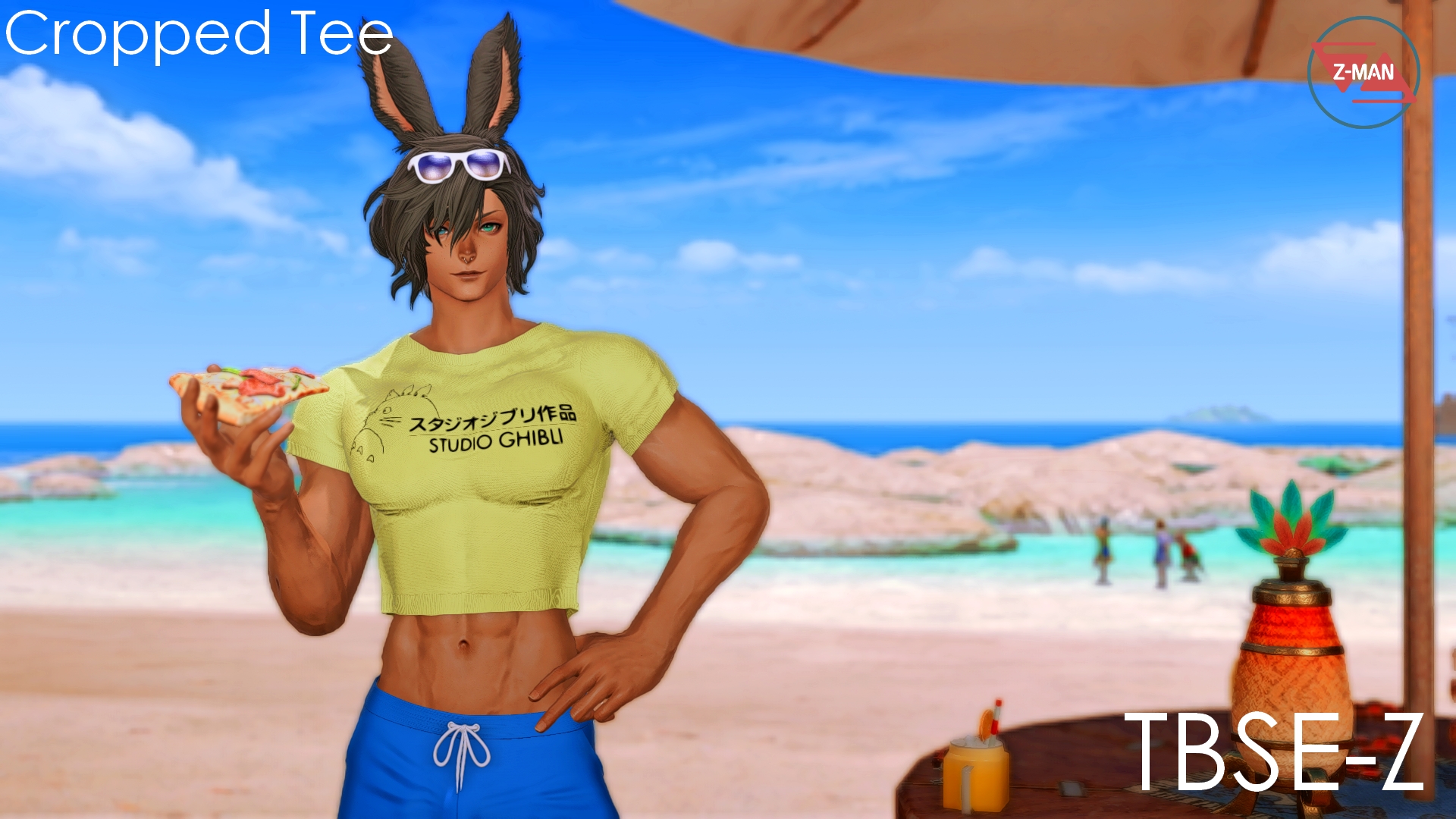 Mod Preview Image