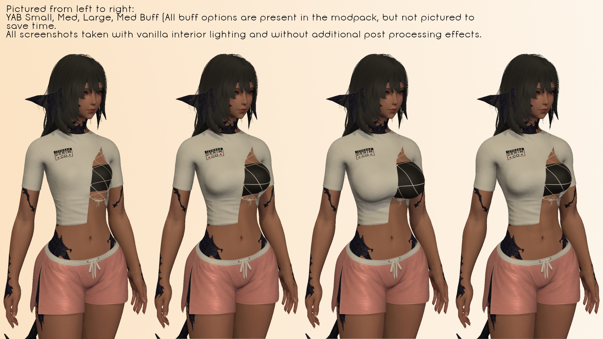 Mod Preview Image
