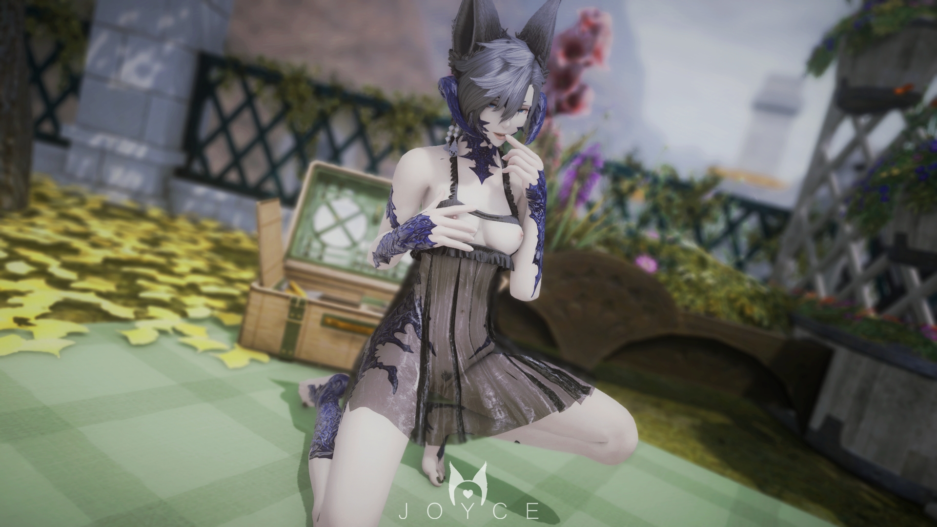 Mod Preview Image