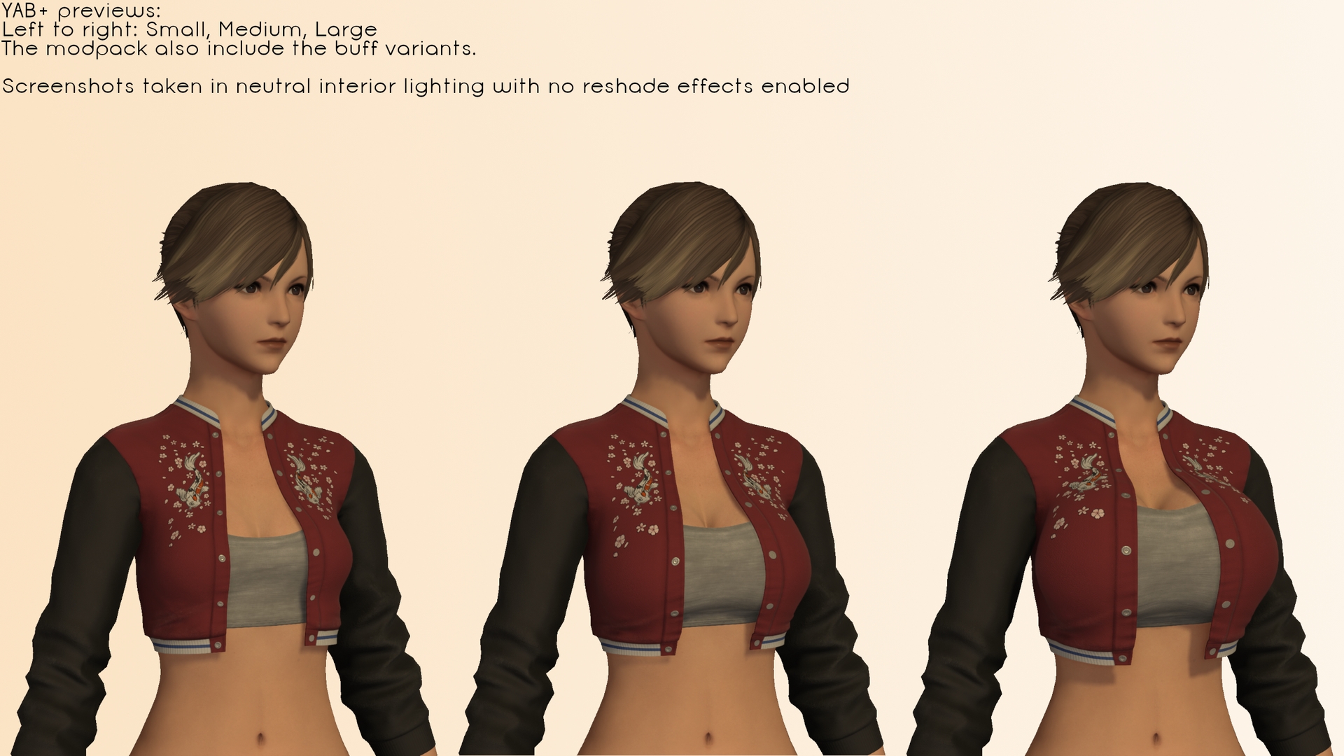 Mod Preview Image