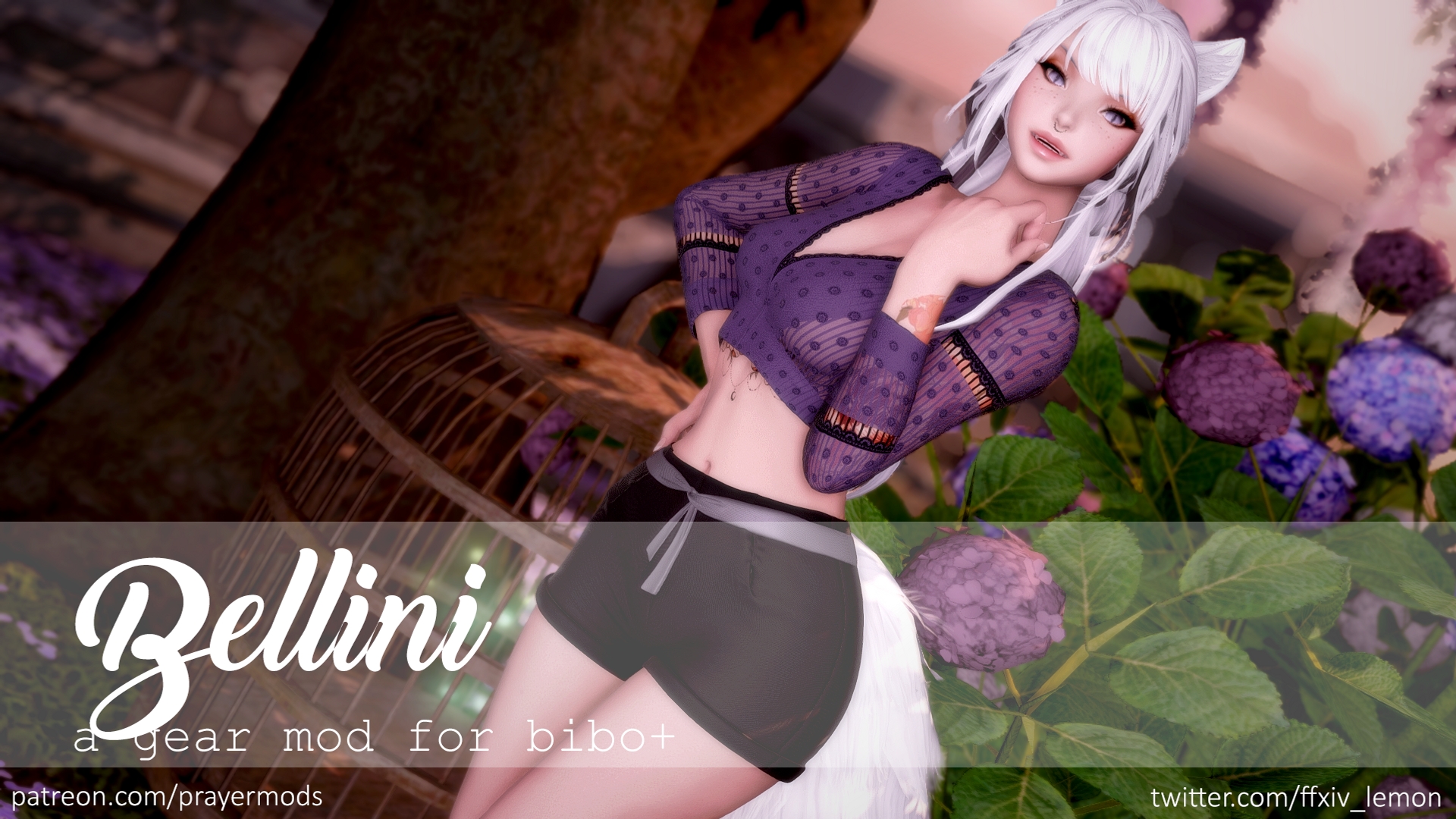 Mod Preview Image
