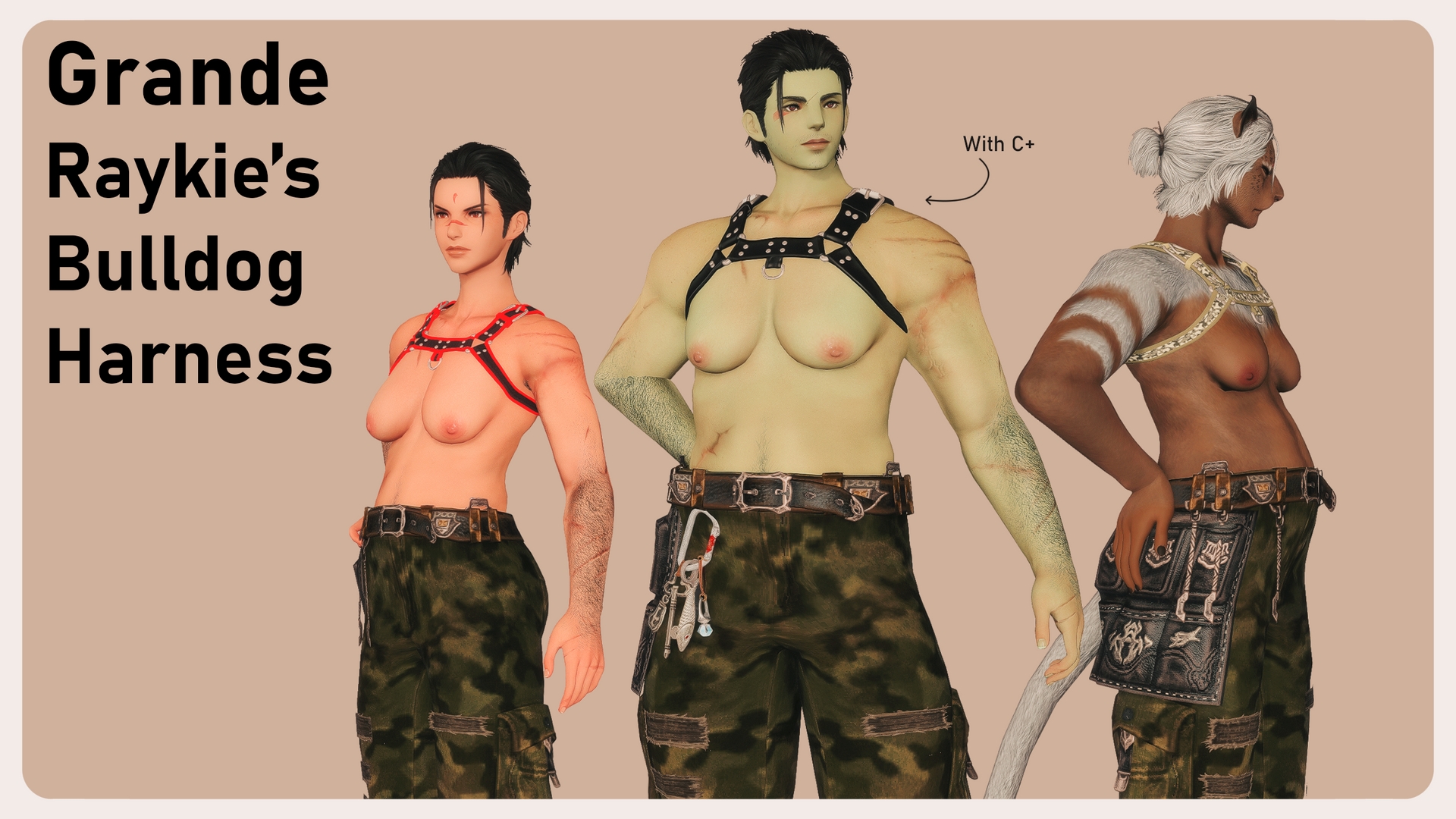 Mod Preview Image