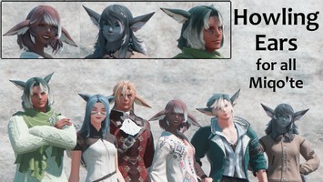 Retsarra Neotunic | XIV Mod Archive