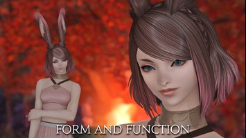 Form And Function Old Xiv Mod Archive